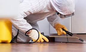 Best Pest Control for Multi-Family Homes  in Ashville, AL